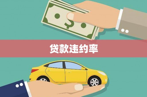 凯里贷款违约率