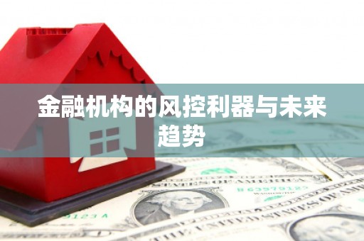 凯里金融机构的风控利器与未来趋势
