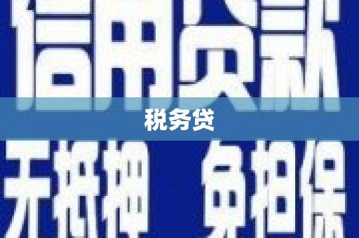 凯里税务贷