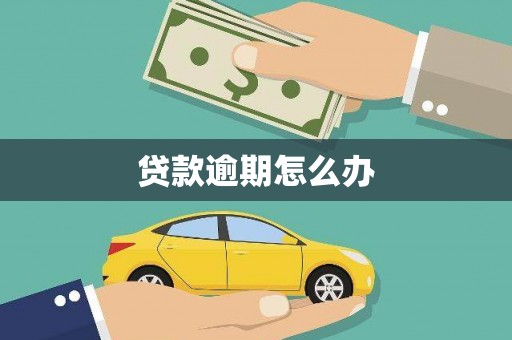 凯里贷款逾期怎么办