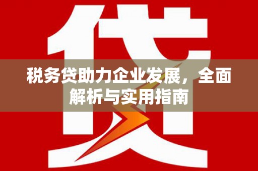 凯里税务贷助力企业发展，全面解析与实用指南