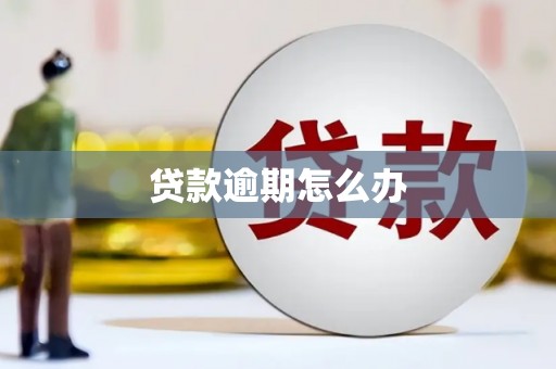 凯里贷款逾期怎么办