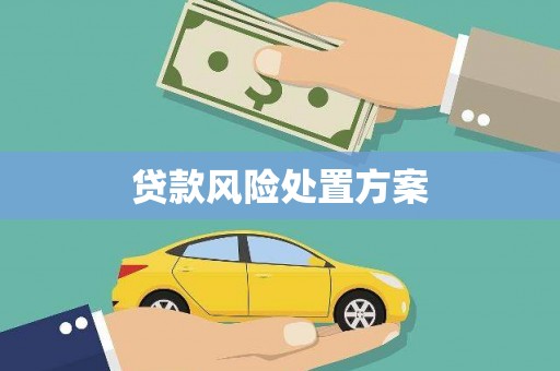 凯里贷款风险处置方案