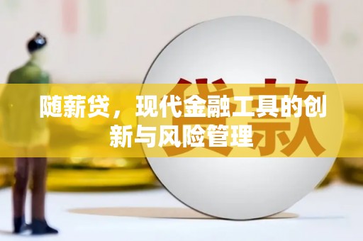凯里随薪贷，现代金融工具的创新与风险管理