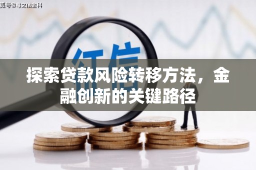 凯里探索贷款风险转移方法，金融创新的关键路径