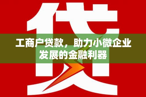 凯里工商户贷款，助力小微企业发展的金融利器