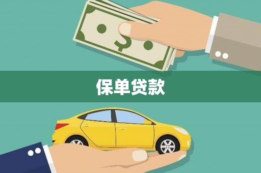 凯里保单贷款