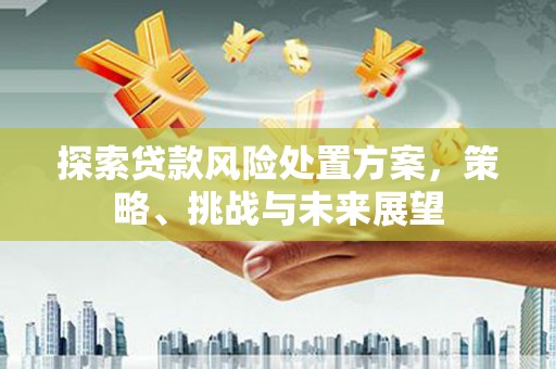凯里探索贷款风险处置方案，策略、挑战与未来展望