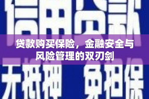 凯里贷款购买保险，金融安全与风险管理的双刃剑