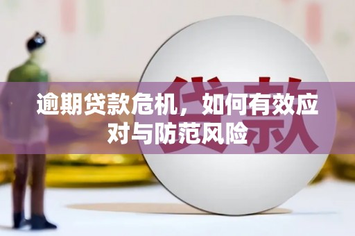 凯里逾期贷款危机，如何有效应对与防范风险