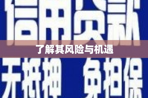 凯里了解其风险与机遇
