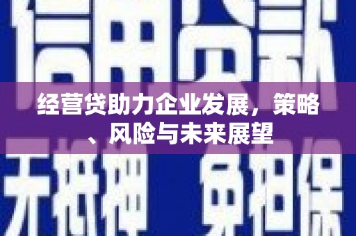 凯里经营贷助力企业发展，策略、风险与未来展望