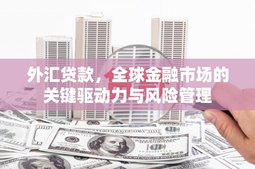 凯里外汇贷款，全球金融市场的关键驱动力与风险管理