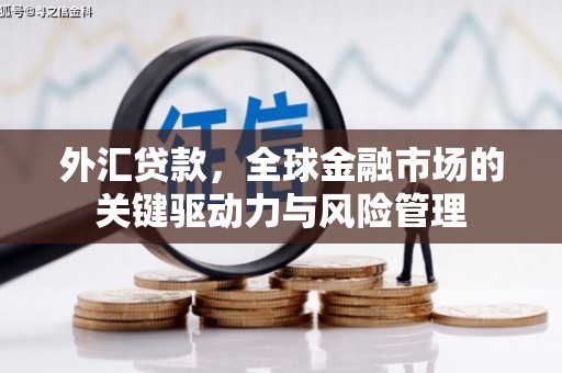 凯里外汇贷款，全球金融市场的关键驱动力与风险管理
