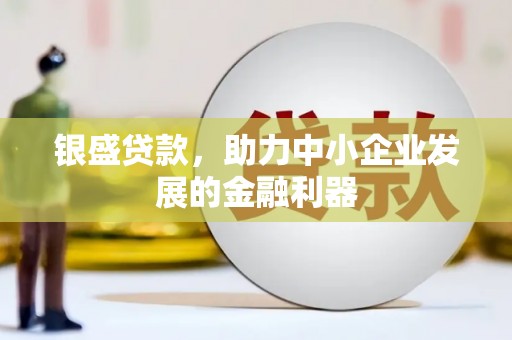 凯里银盛贷款，助力中小企业发展的金融利器