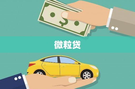 凯里微粒贷