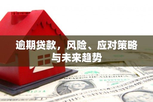 凯里逾期贷款，风险、应对策略与未来趋势