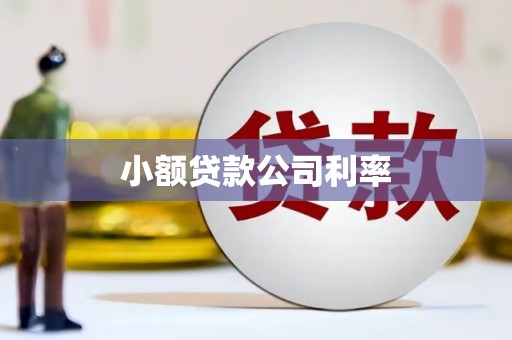 凯里小额贷款公司利率