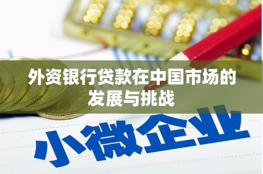 凯里外资银行贷款在中国市场的发展与挑战