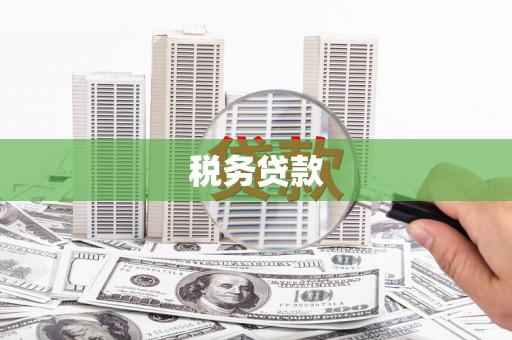 凯里税务贷款