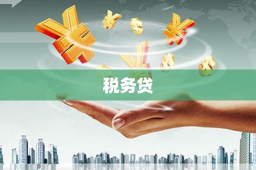 凯里税务贷