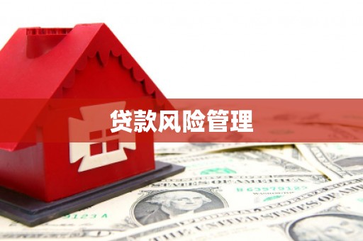 凯里贷款风险管理