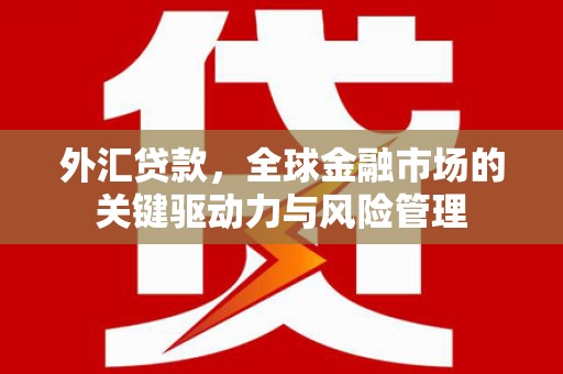 凯里外汇贷款，全球金融市场的关键驱动力与风险管理