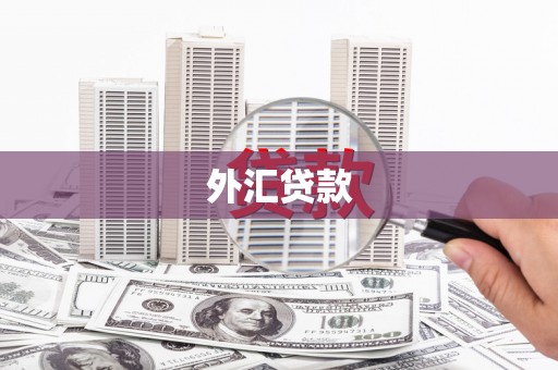 凯里外汇贷款