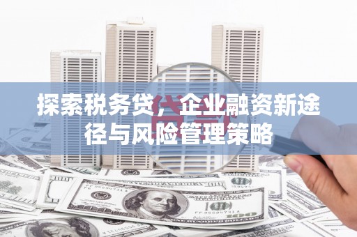 凯里探索税务贷，企业融资新途径与风险管理策略