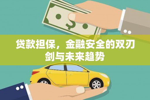 凯里贷款担保，金融安全的双刃剑与未来趋势