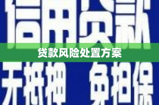 凯里贷款风险处置方案