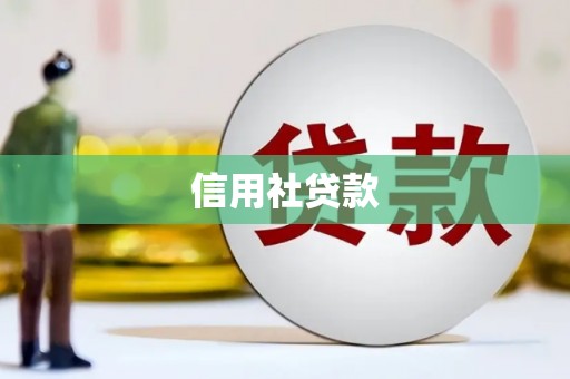 凯里信用社贷款