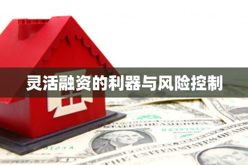 凯里灵活融资的利器与风险控制