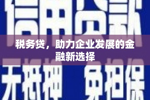 凯里税务贷，助力企业发展的金融新选择