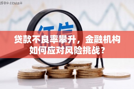 凯里贷款不良率攀升，金融机构如何应对风险挑战？