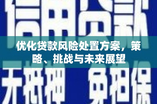 凯里优化贷款风险处置方案，策略、挑战与未来展望