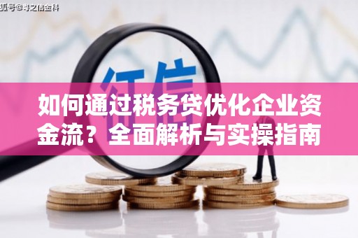凯里如何通过税务贷优化企业资金流？全面解析与实操指南