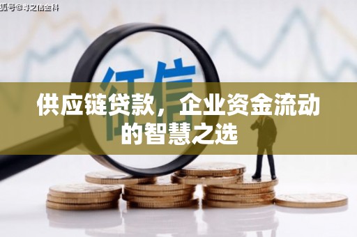 凯里供应链贷款，企业资金流动的智慧之选