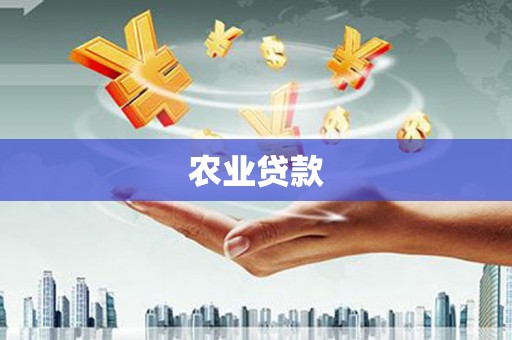 凯里农业贷款