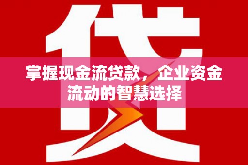 凯里掌握现金流贷款，企业资金流动的智慧选择