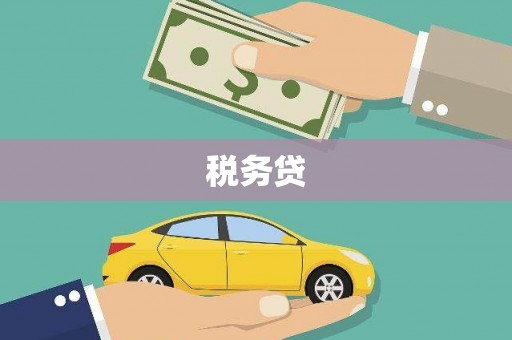 凯里税务贷