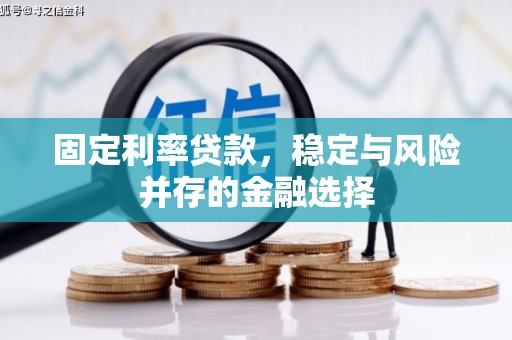 凯里固定利率贷款，稳定与风险并存的金融选择