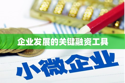 凯里企业发展的关键融资工具