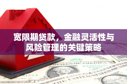 凯里宽限期贷款，金融灵活性与风险管理的关键策略