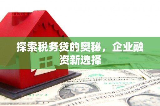 凯里探索税务贷的奥秘，企业融资新选择