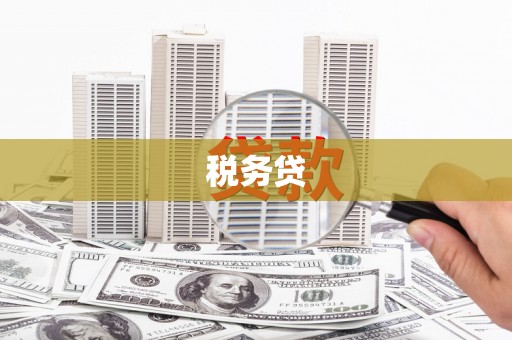 凯里税务贷