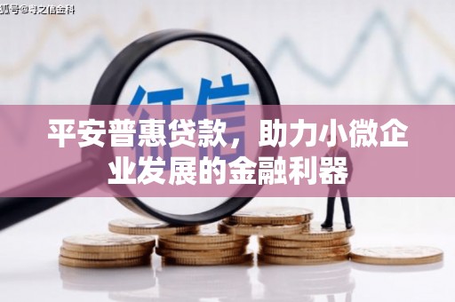 凯里平安普惠贷款，助力小微企业发展的金融利器