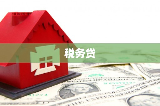 凯里税务贷