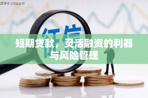 凯里短期贷款，灵活融资的利器与风险管理