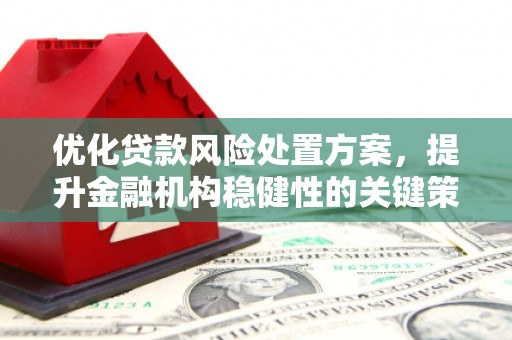 凯里优化贷款风险处置方案，提升金融机构稳健性的关键策略